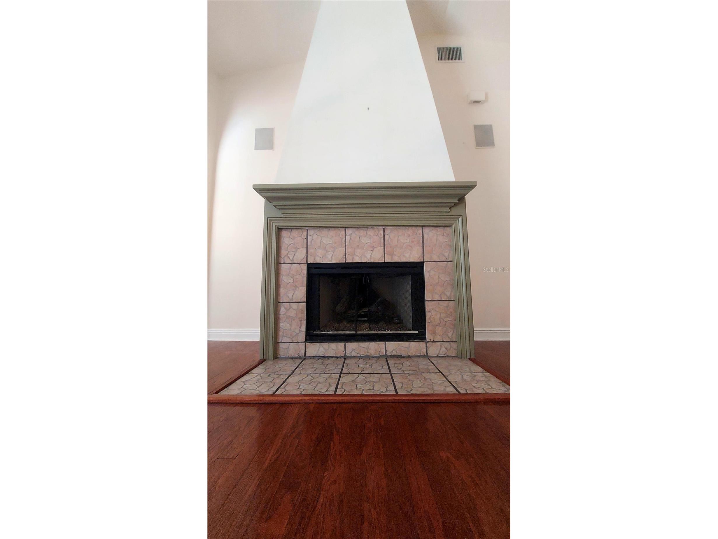 7316 Chesterhill Circle Mount Dora FL 32757 G5112542 image31