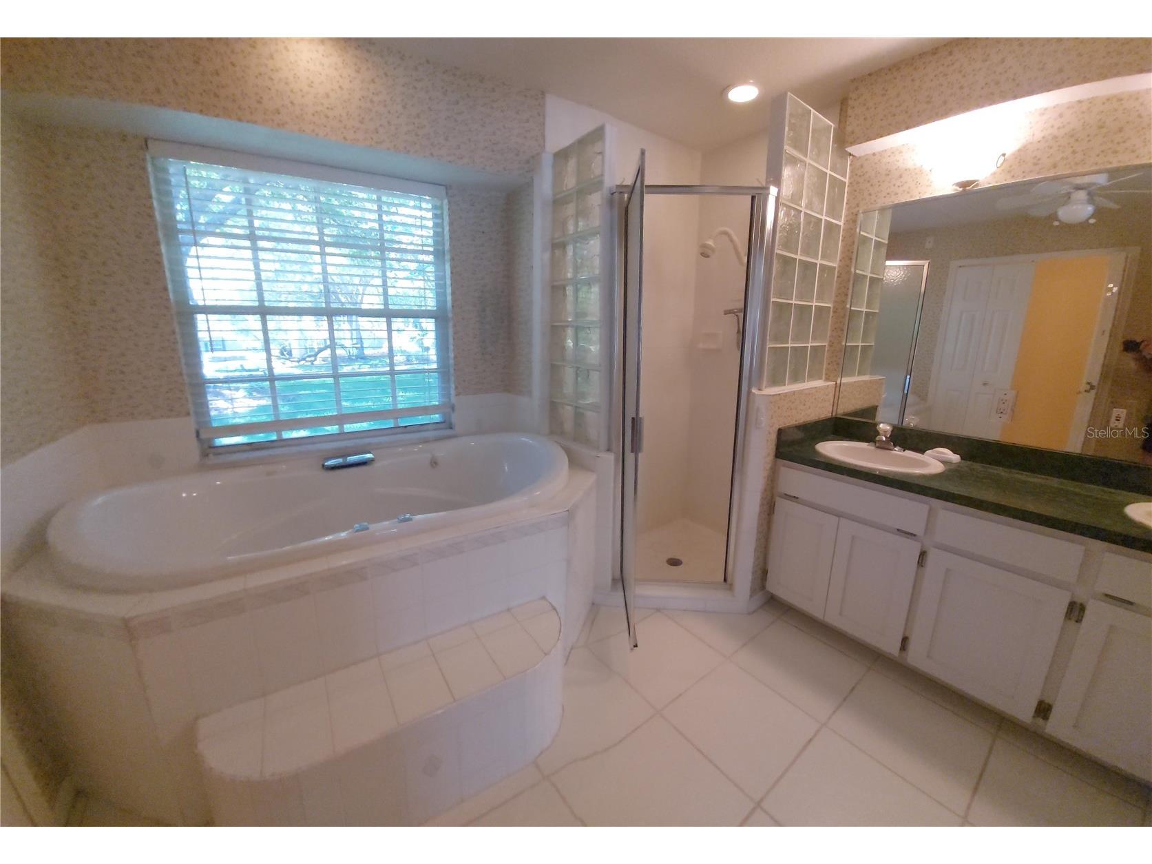 7316 Chesterhill Circle Mount Dora FL 32757 G5112542 image38