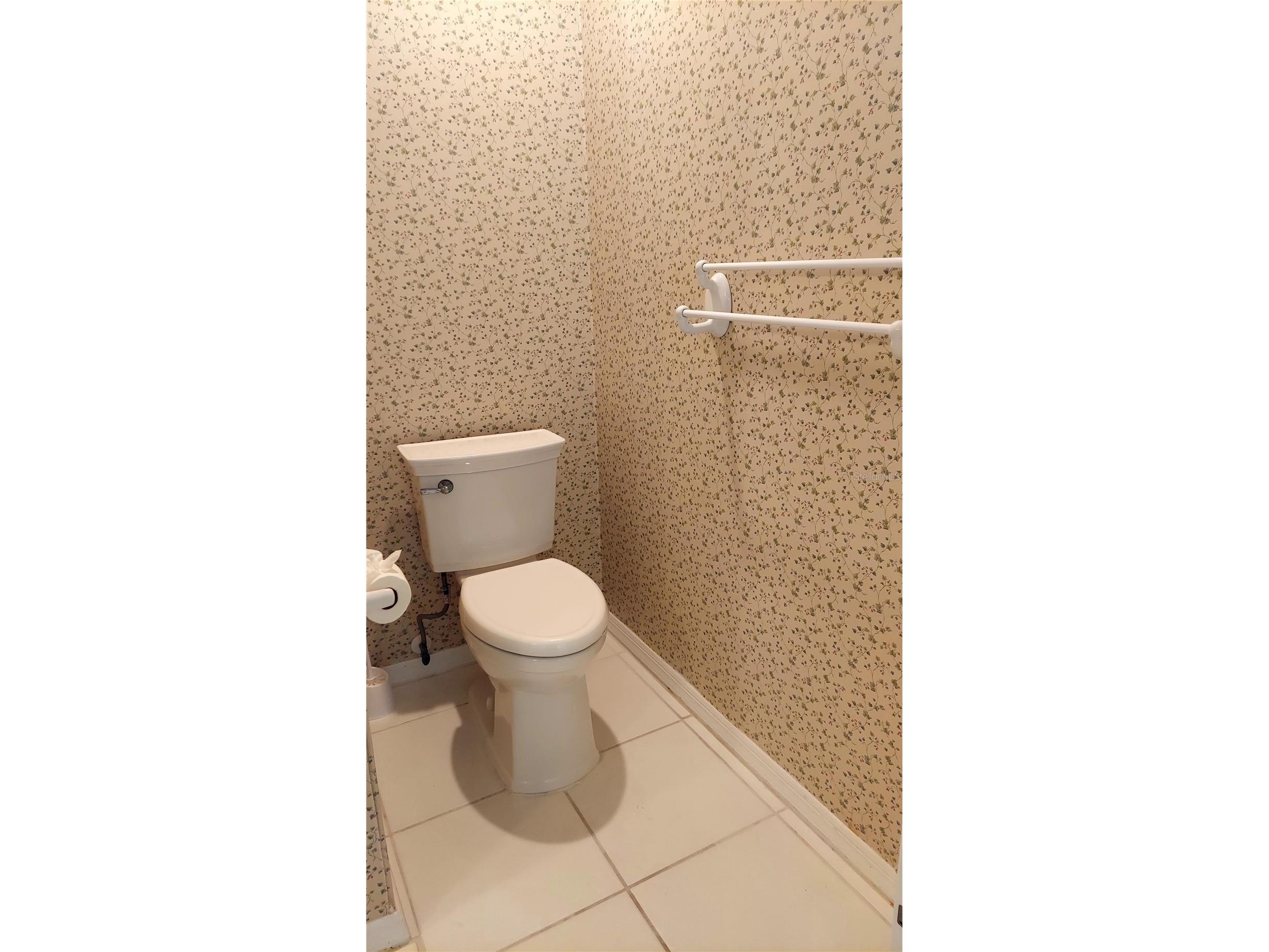 7316 Chesterhill Circle Mount Dora FL 32757 G5112542 image40