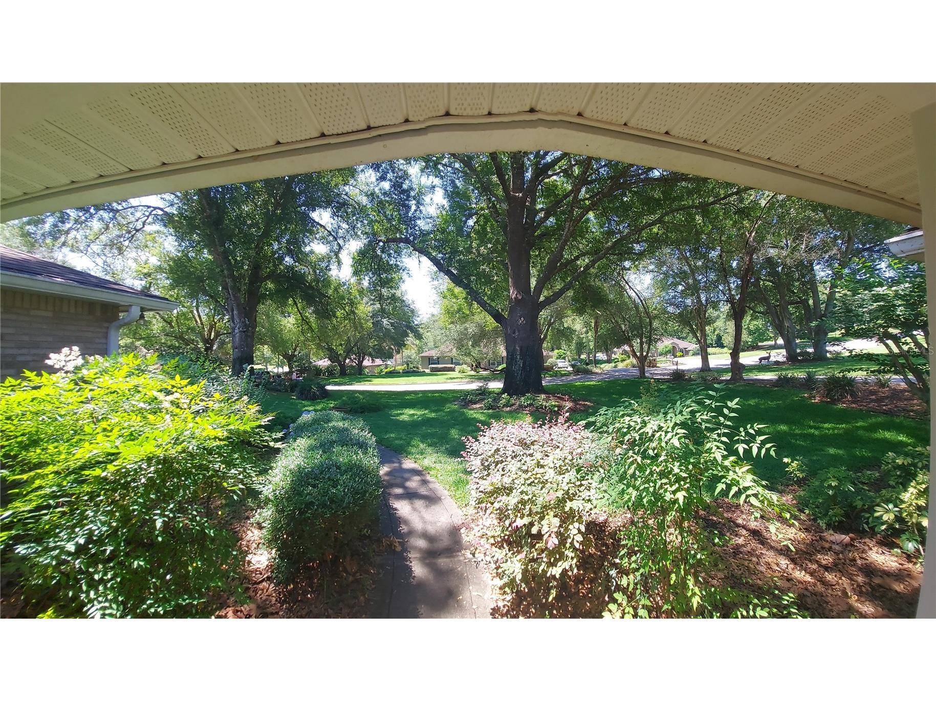 7316 Chesterhill Circle Mount Dora FL 32757 G5112542 image5