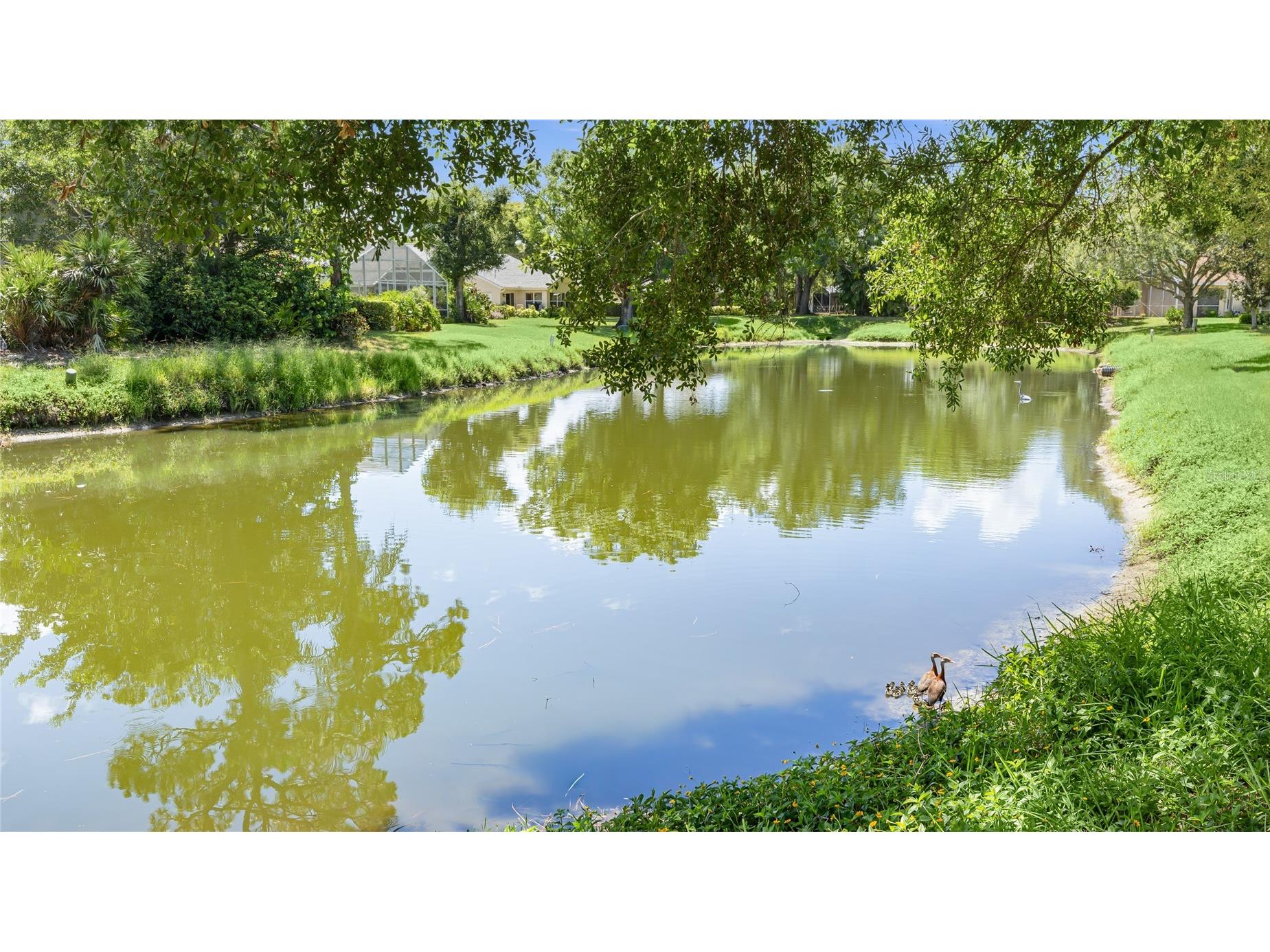 7317 Eleanor Circle #176 Sarasota FL 34243 A4697996 image31