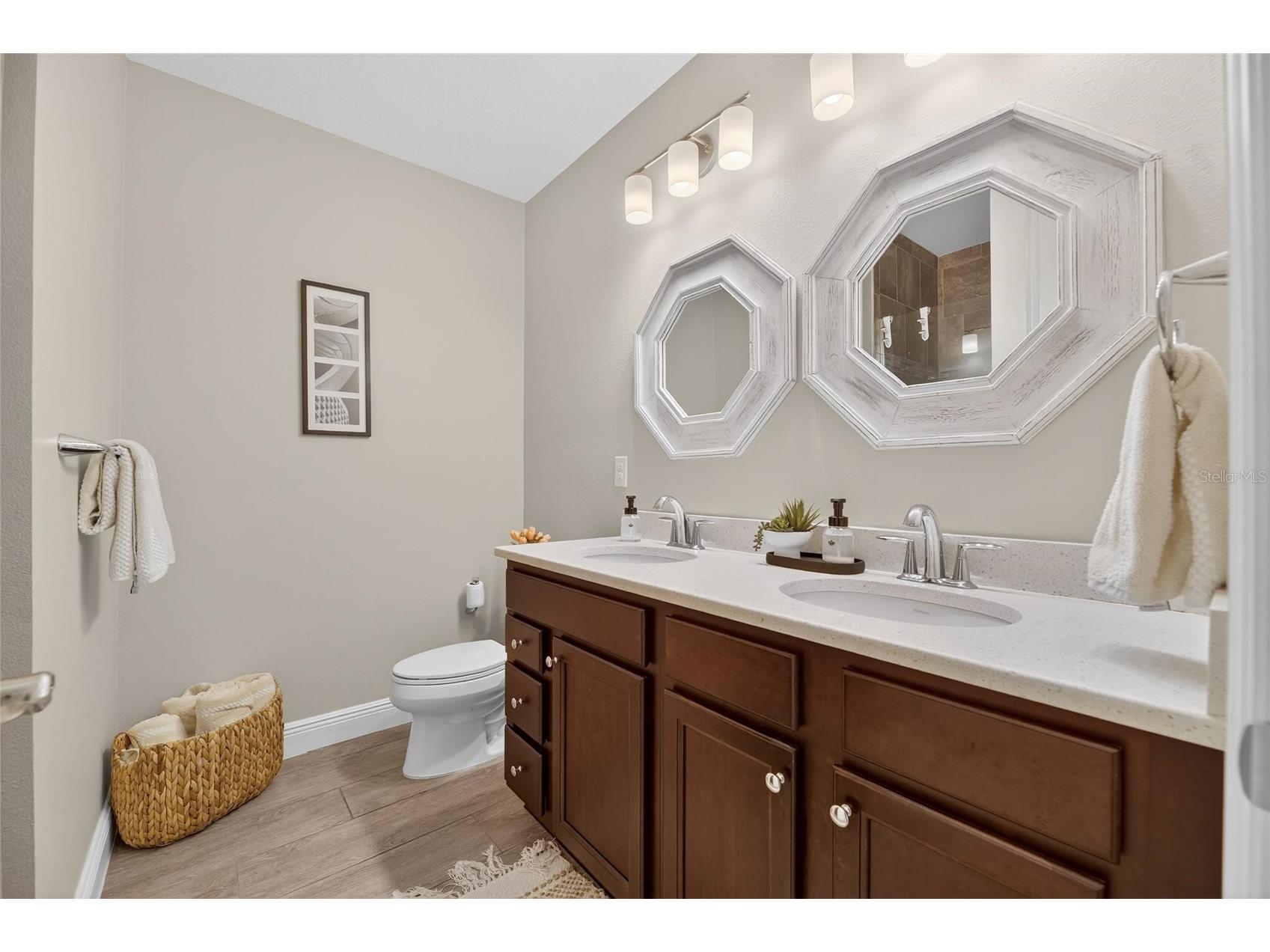 7317 Hourglass Drive Apollo Beach FL 33572 TB8490442 image38