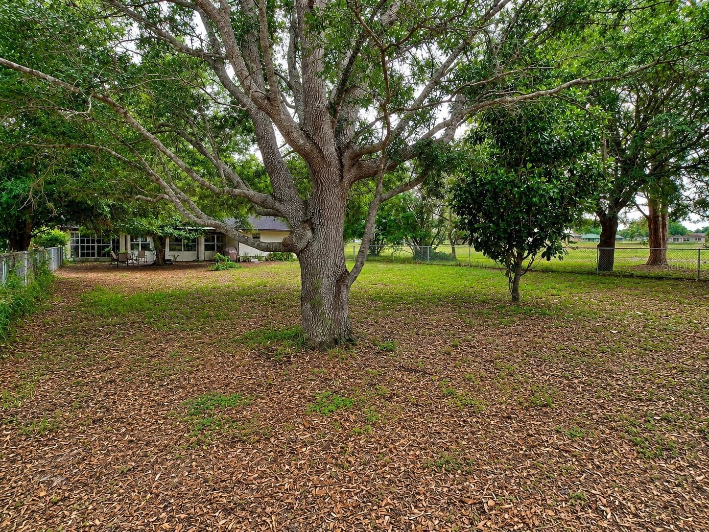 7317 Lime Tree Court Sebring FL 33876 O6408093 image14