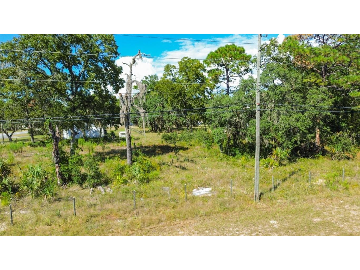 7317 W Homosassa Trail Homosassa FL 34448 W7879288 image11