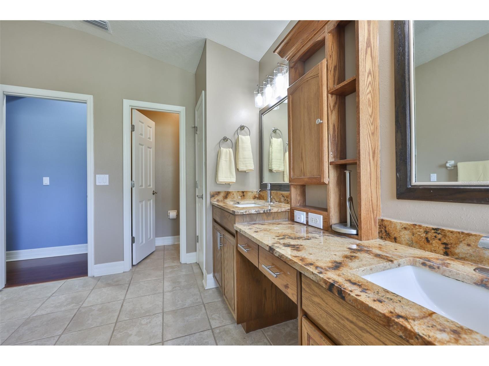 7318 Guilford Pine Lane Apollo Beach FL 33572 TB8501744 image33
