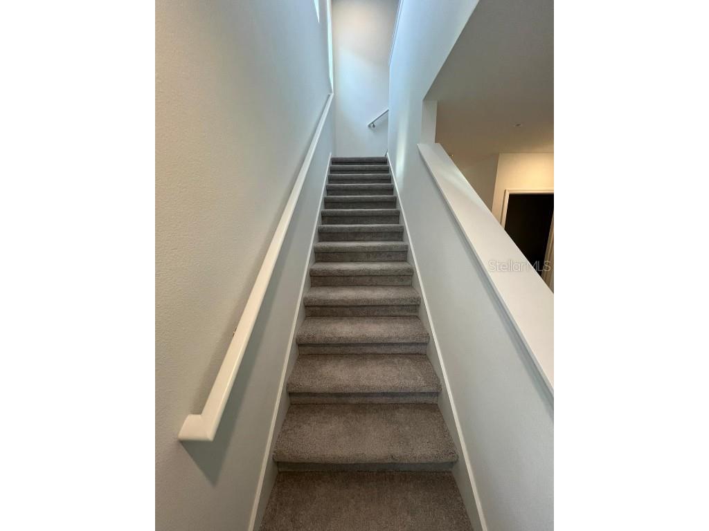 7318 Ivy Tendril Avenue Orlando FL 32829 S5134632 image10