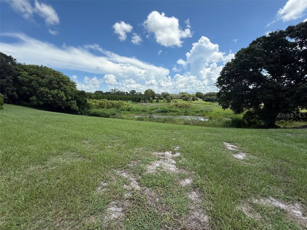 7319 Holiday Drive Spring Hill FL 34606 - LAKE HOLIDAY W7877844 image18