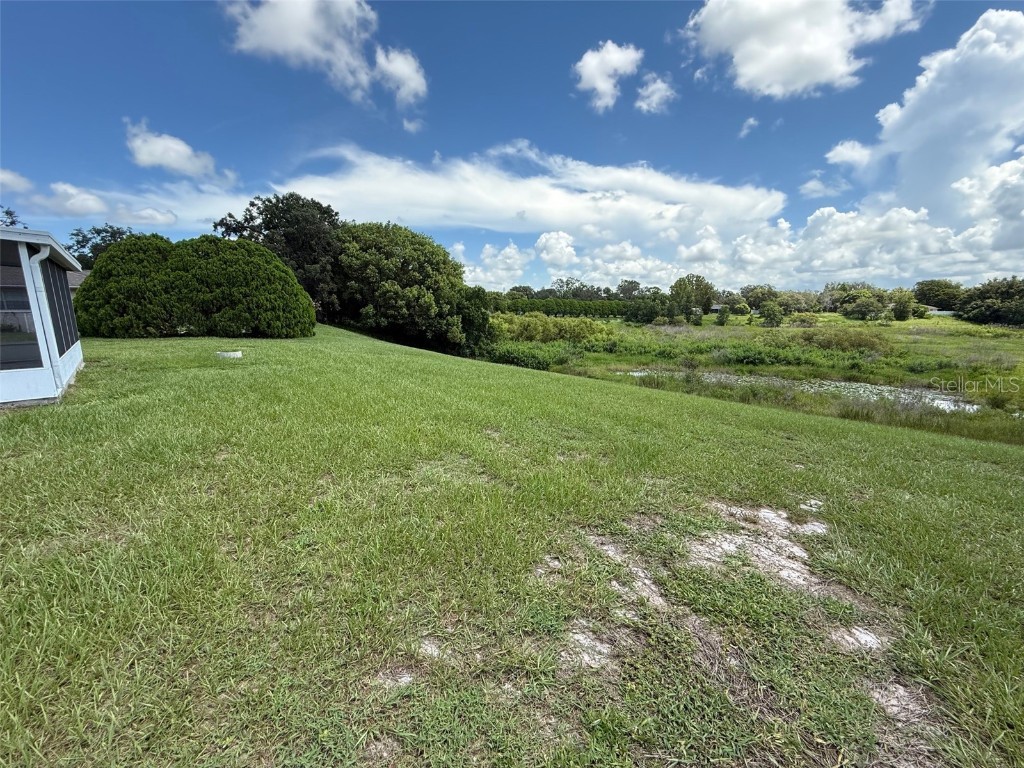 7319 Holiday Drive Spring Hill FL 34606 - LAKE HOLIDAY W7877844 image19