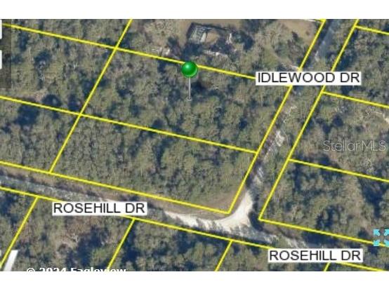 7319 Idlewood Drive Webster FL 33597 TB8354969 image1