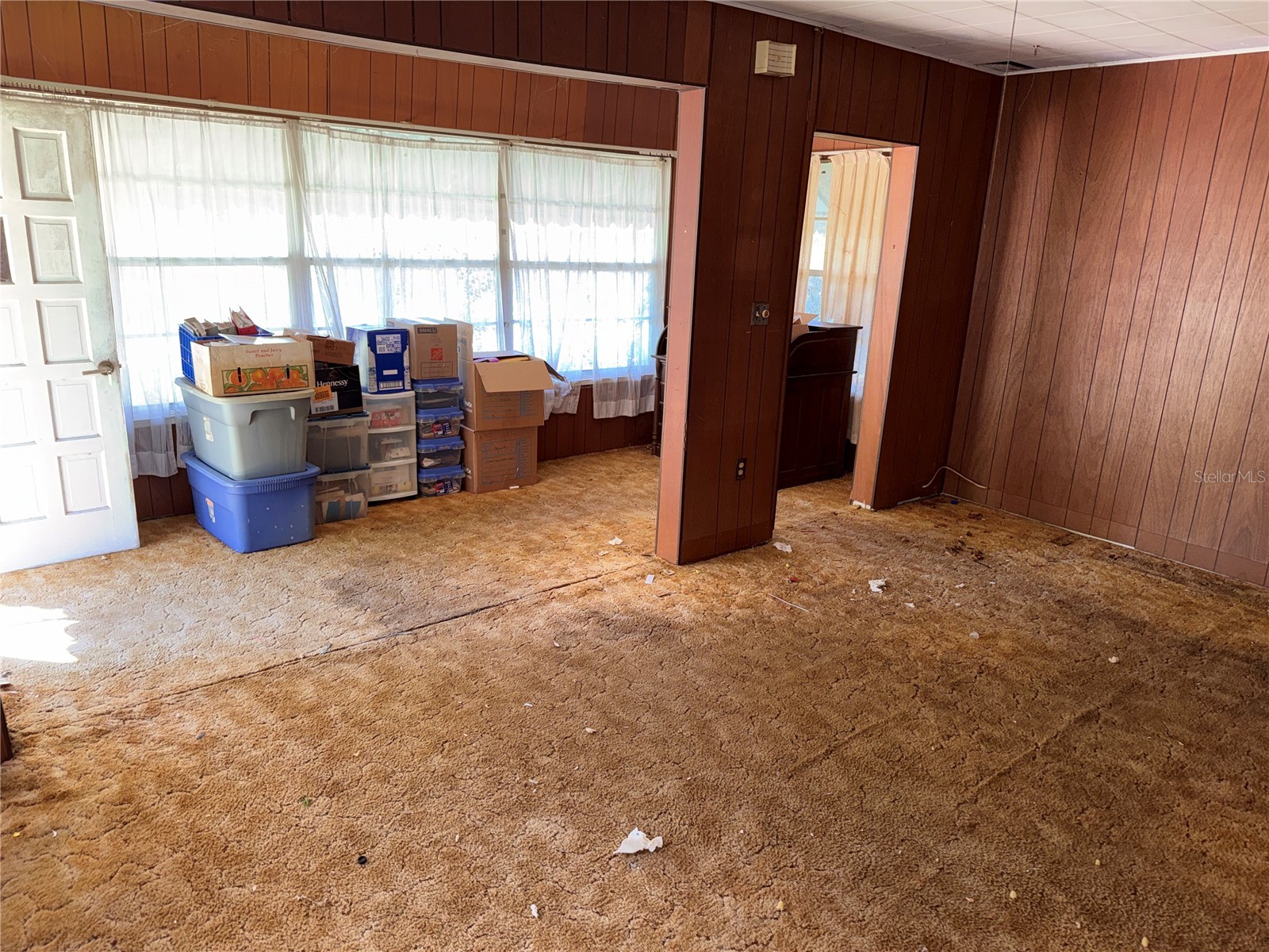 732 7th Street NE Winter Haven FL 33881 L4958841 image12