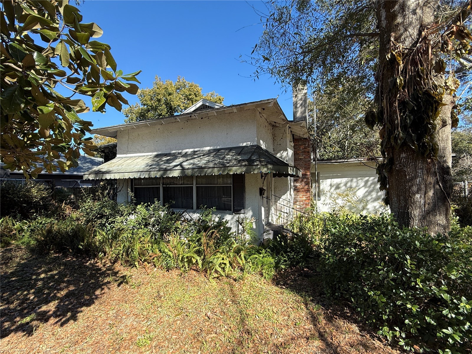 732 7th Street NE Winter Haven FL 33881 L4958841 image4