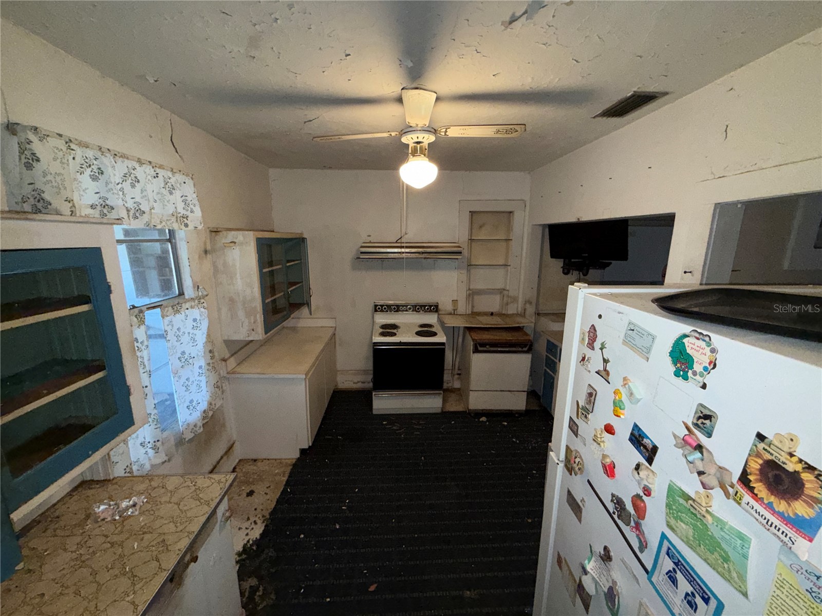 732 7th Street NE Winter Haven FL 33881 L4958841 image8