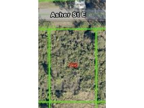 732 Asher Street E Lehigh Acres FL 33974 U8214393 image1