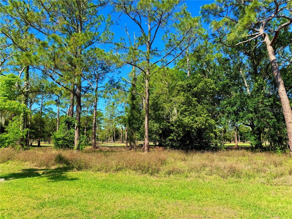 732 Ensenada Drive Orlando FL 32825 O6298495 image18