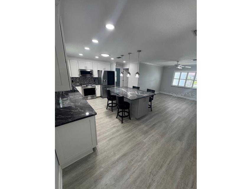 732 Palma Drive The Villages FL 32159 O6319952 image11