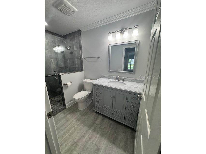 732 Palma Drive The Villages FL 32159 O6319952 image21