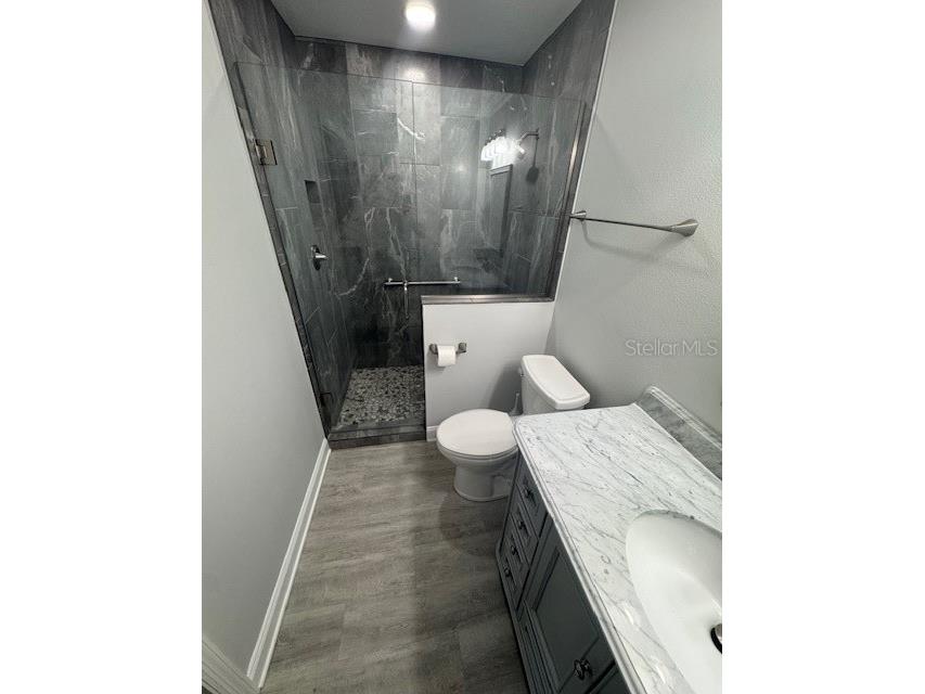 732 Palma Drive The Villages FL 32159 O6319952 image22