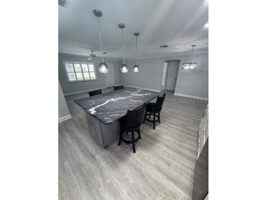 732 Palma Drive The Villages FL 32159 O6319952 image8