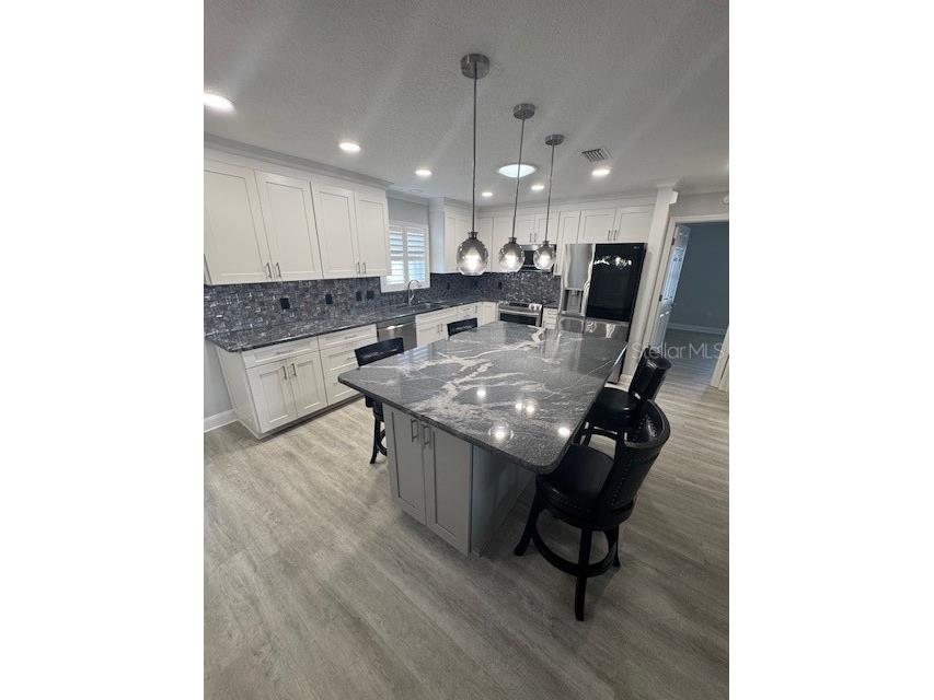 732 Palma Drive The Villages FL 32159 O6319952 image9