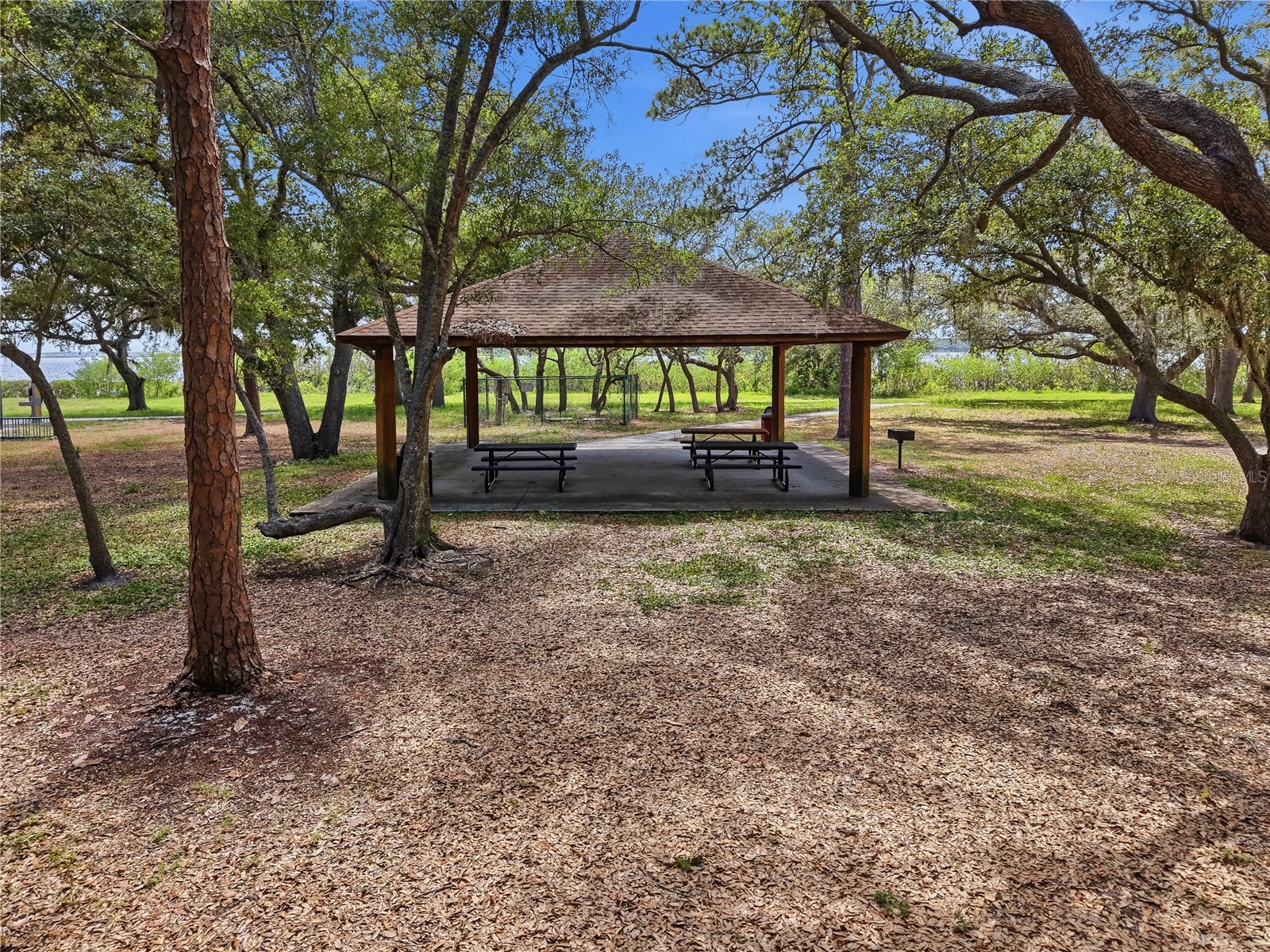732 Shore Drive E Oldsmar FL 34677 - TAMPA BAY TB8516635 image96