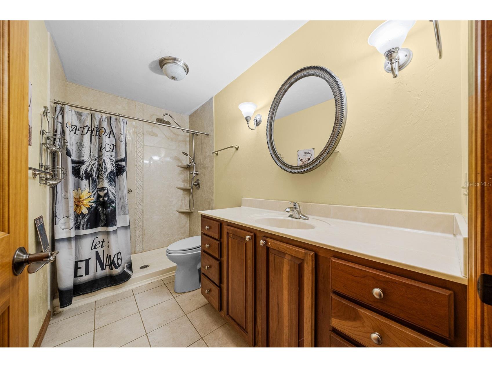 732 SW Carl Wilson Road Fort White FL 32038 OM723993 image27