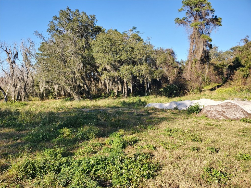 732 Waterfall Circle Deltona FL 32725 - LAKE LAPANOCIA O5726581 image1
