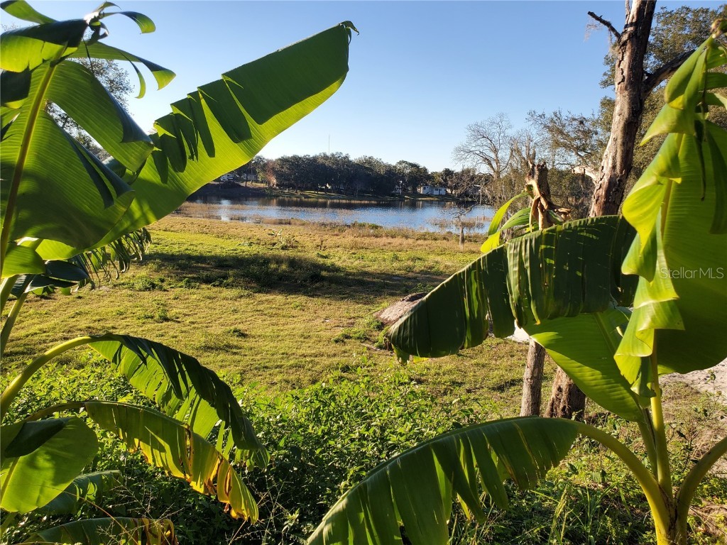 732 Waterfall Circle Deltona FL 32725 - LAKE LAPANOCIA O5726581 image13