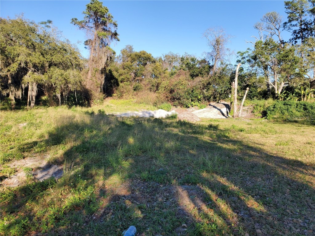 732 Waterfall Circle Deltona FL 32725 - LAKE LAPANOCIA O5726581 image8