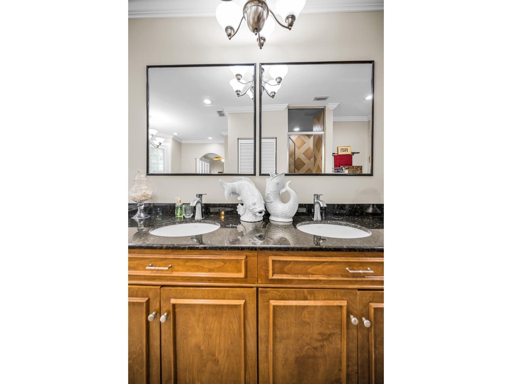 732 and 732 1/2 NE Oak Street Saint Petersburg FL 33701 TB8513524 image34