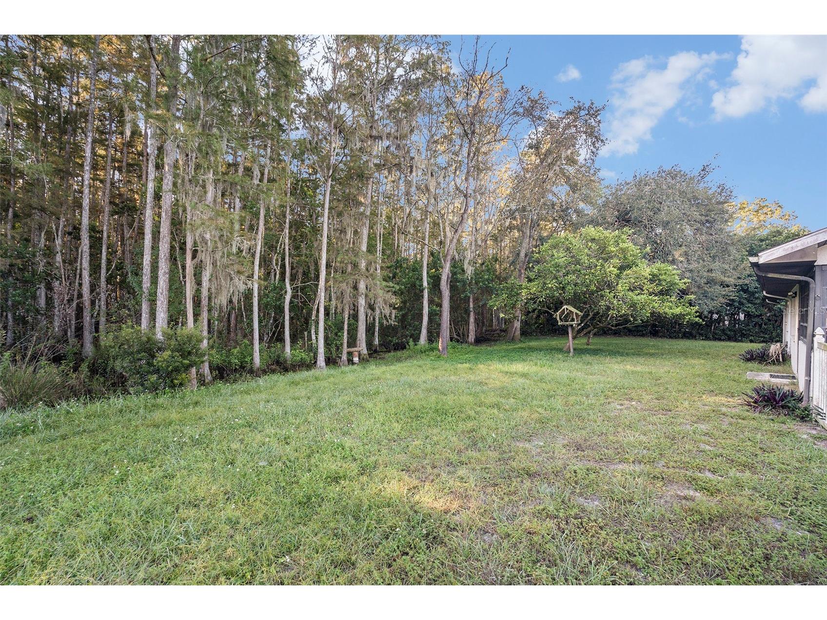 7320 Auburn Lane New Port Richey FL 34654 O6353192 image32