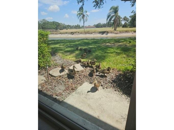 7320 Golf Pointe Circle Sarasota FL 34243 A4666761 image59