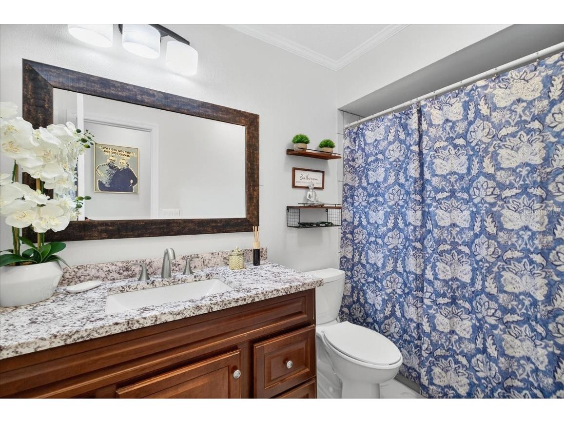 7321 Brookview Circle Tampa FL 33634 TB8426636 image37