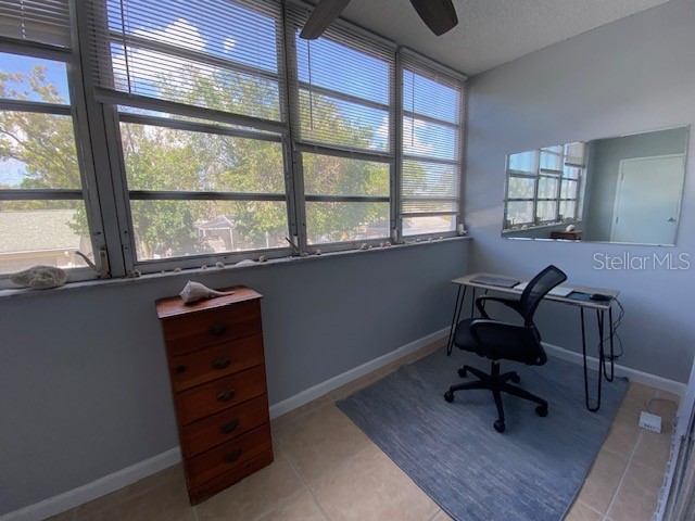 7321 Central Avenue #202 Saint Petersburg FL 33710 TB8486500 image15
