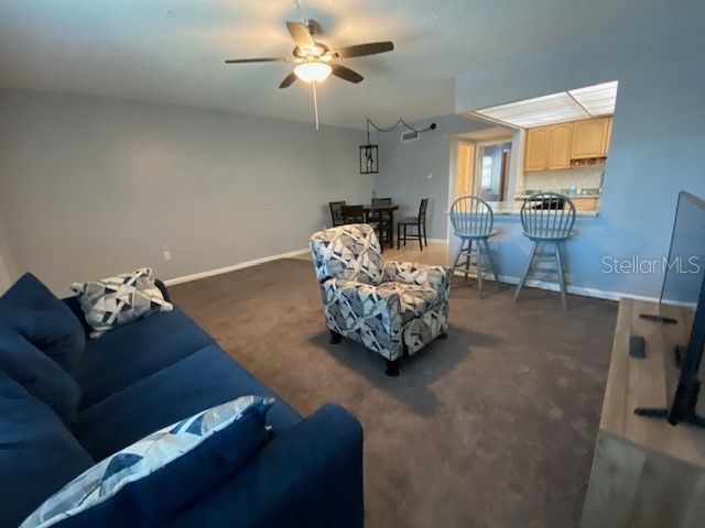 7321 Central Avenue #202 Saint Petersburg FL 33710 TB8486500 image7