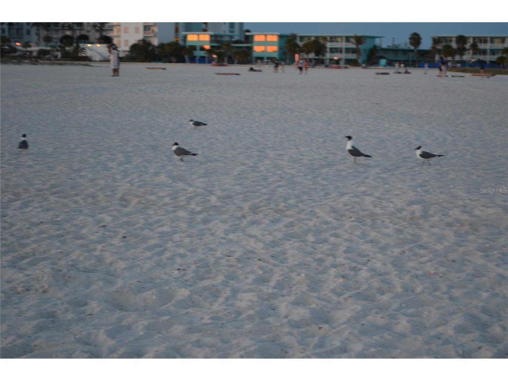 7321 Central Avenue #303 Saint Petersburg FL 33710 - BOCA SIEGA BAY TB8417004 image46