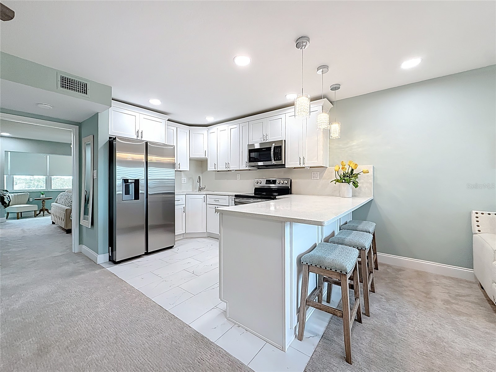 7321 Central Avenue #502 Saint Petersburg FL 33710 TB8469009 image2