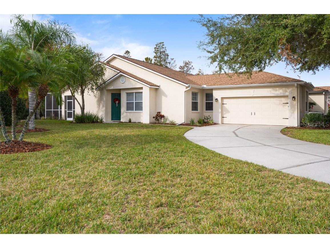 7321 Cleopatra Drive Land O Lakes FL 34637 T3492096 image1