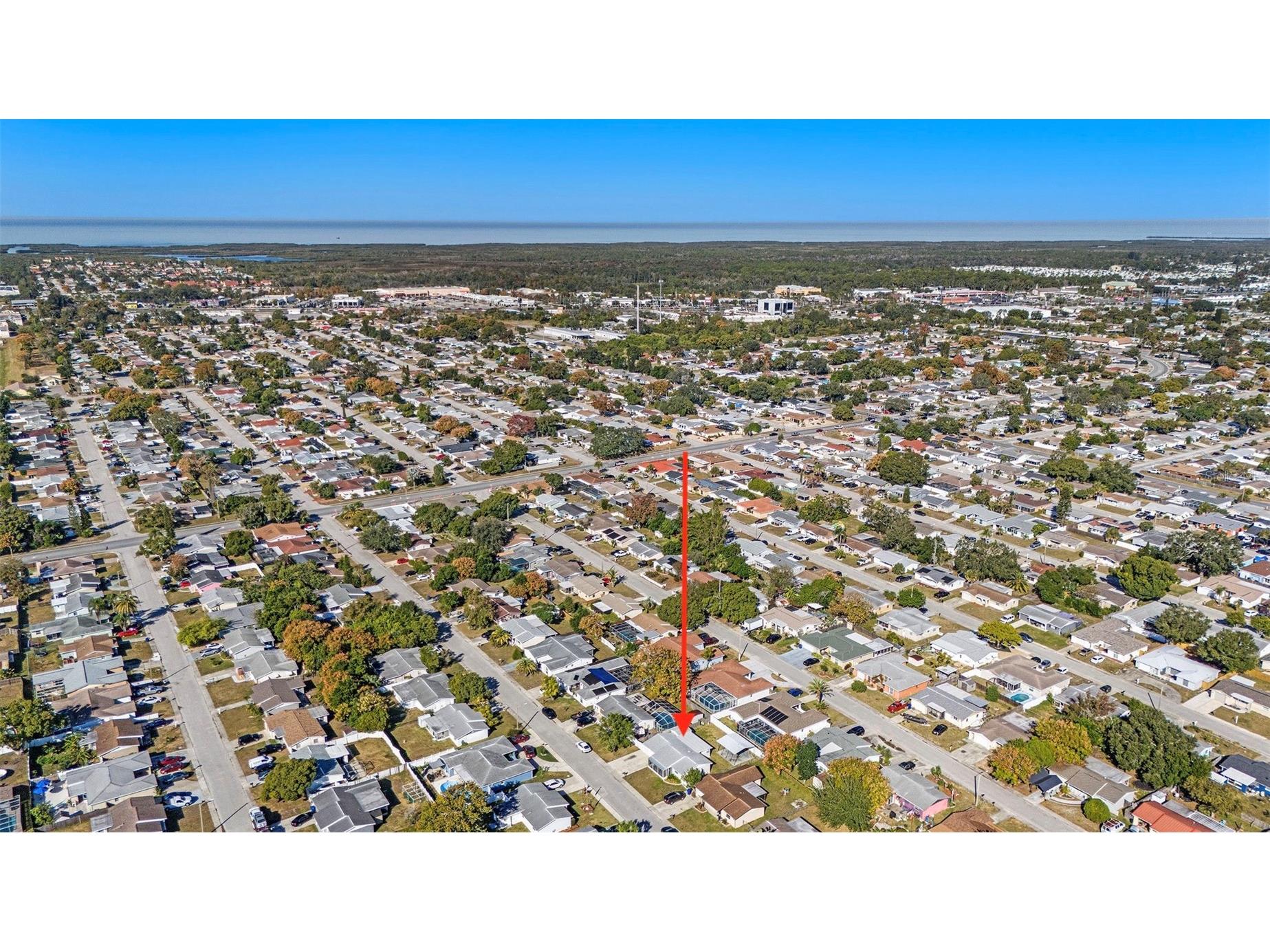 7321 Parrot Drive Port Richey FL 34668 TB8446733 image41