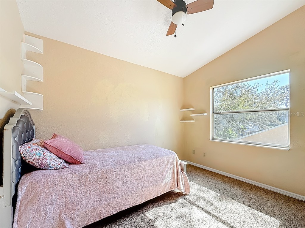 7322 54th Avenue N Saint Petersburg FL 33709 TB8450969 image37