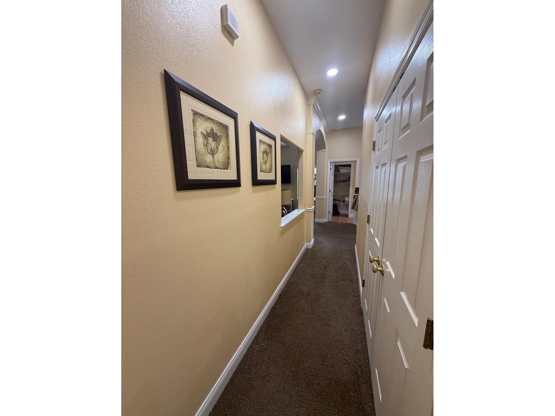 7322 Sheepshead Drive Hudson FL 34667 TB8479016 image27