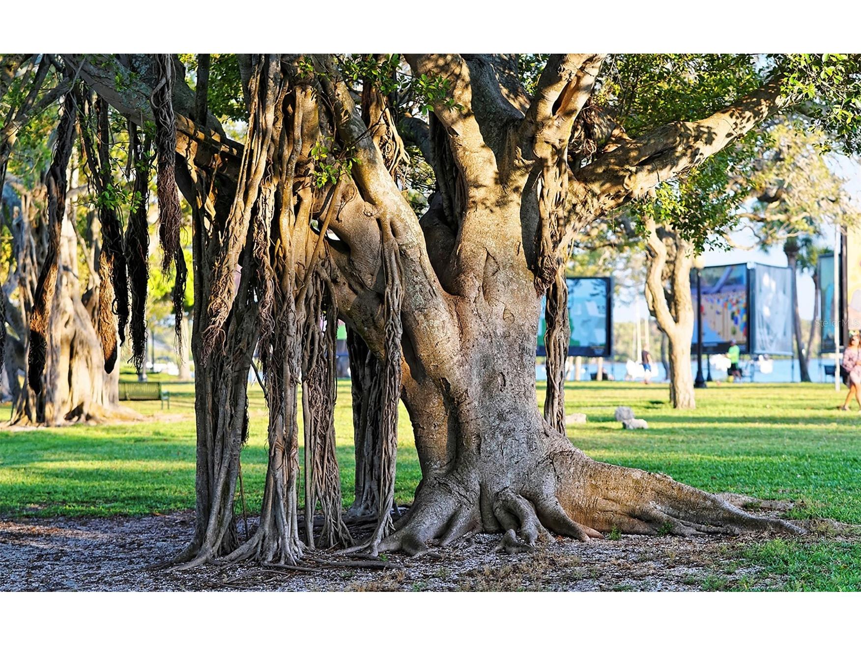 7322 Westmoreland Drive Sarasota FL 34243 - SARASOTA BAY A4682111 image48