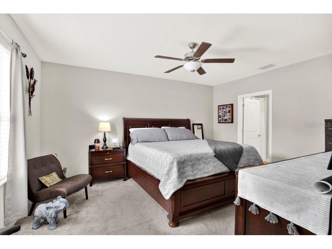 7323 Canterbury Bells Court Tampa FL 33619 TB8433634 image16