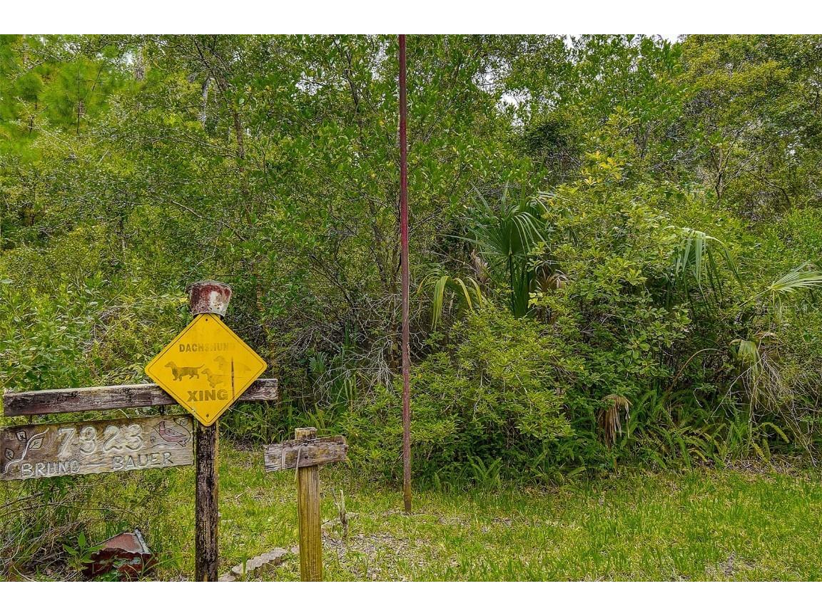 7323 Ray Browning Road Brooksville FL 34601 TB8409022 image29