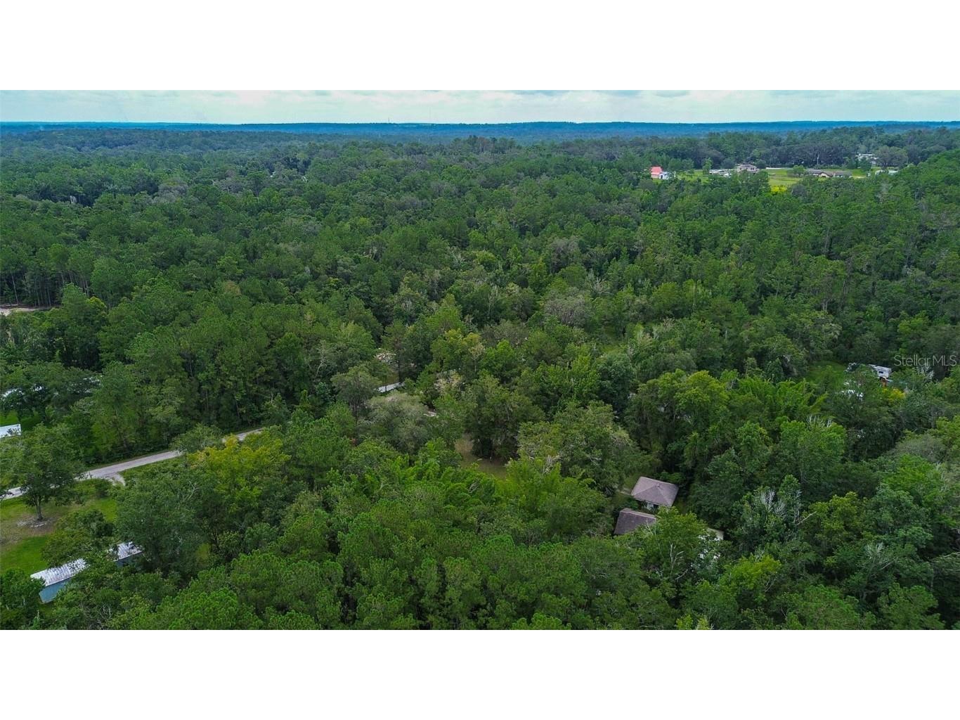 7323 Ray Browning Road Brooksville FL 34601 TB8409022 image40