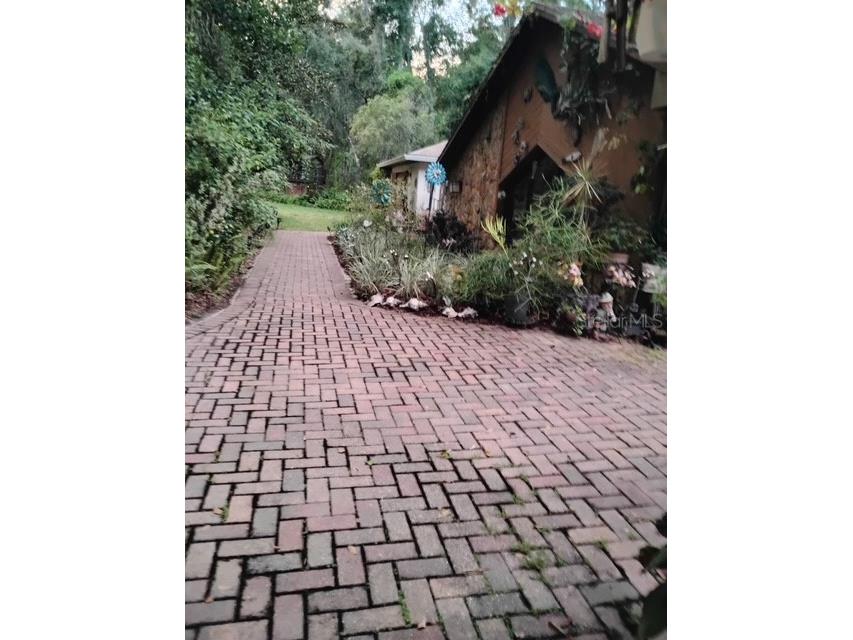 7323 Ray Browning Road Brooksville FL 34601 TB8409022 image43