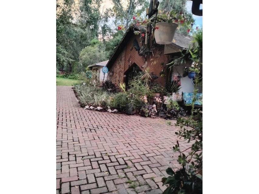 7323 Ray Browning Road Brooksville FL 34601 TB8409022 image44