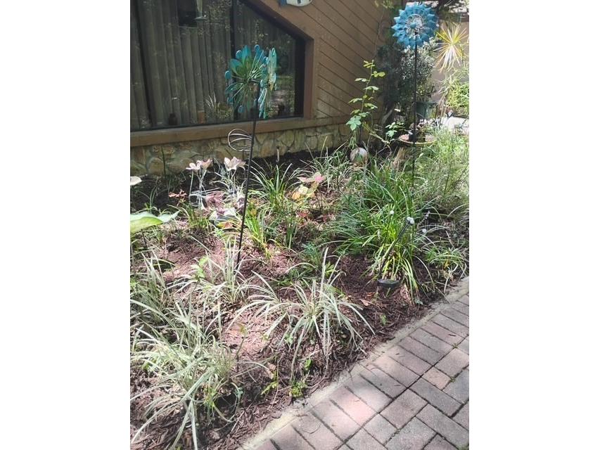 7323 Ray Browning Road Brooksville FL 34601 TB8409022 image45