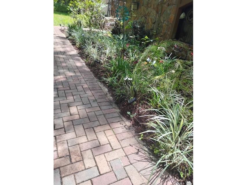 7323 Ray Browning Road Brooksville FL 34601 TB8409022 image46