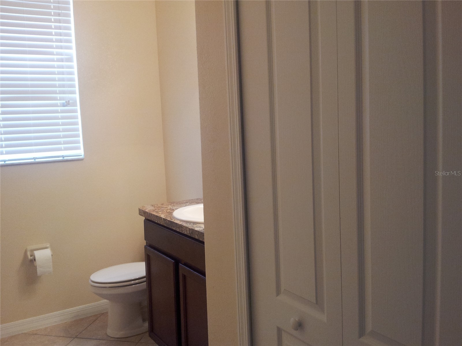 7324 Ella Lane Windermere FL 34786 O6413621 image12