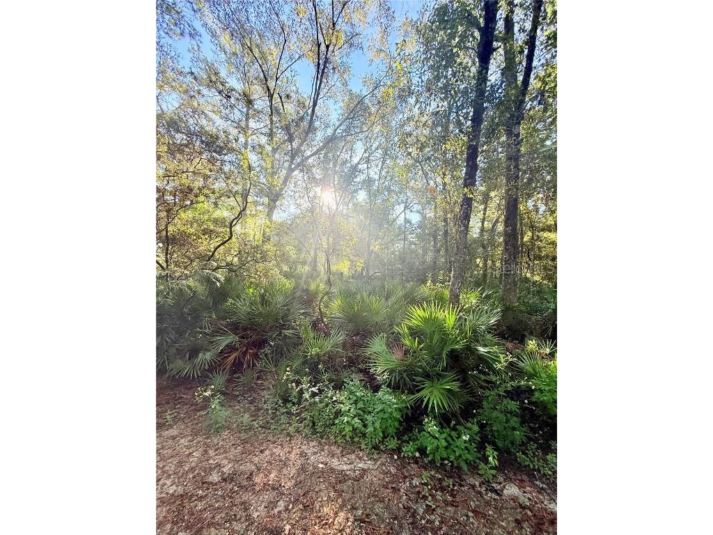 7324 NW 152 Place Alachua FL 32615 GC534615 image10